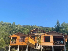 MESTIA COTTAGE TiME